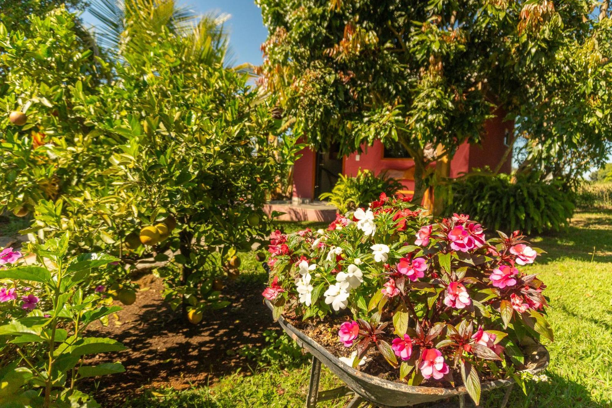 Vila da Mata Chalés Alto Paraíso de Goiás Esterno foto