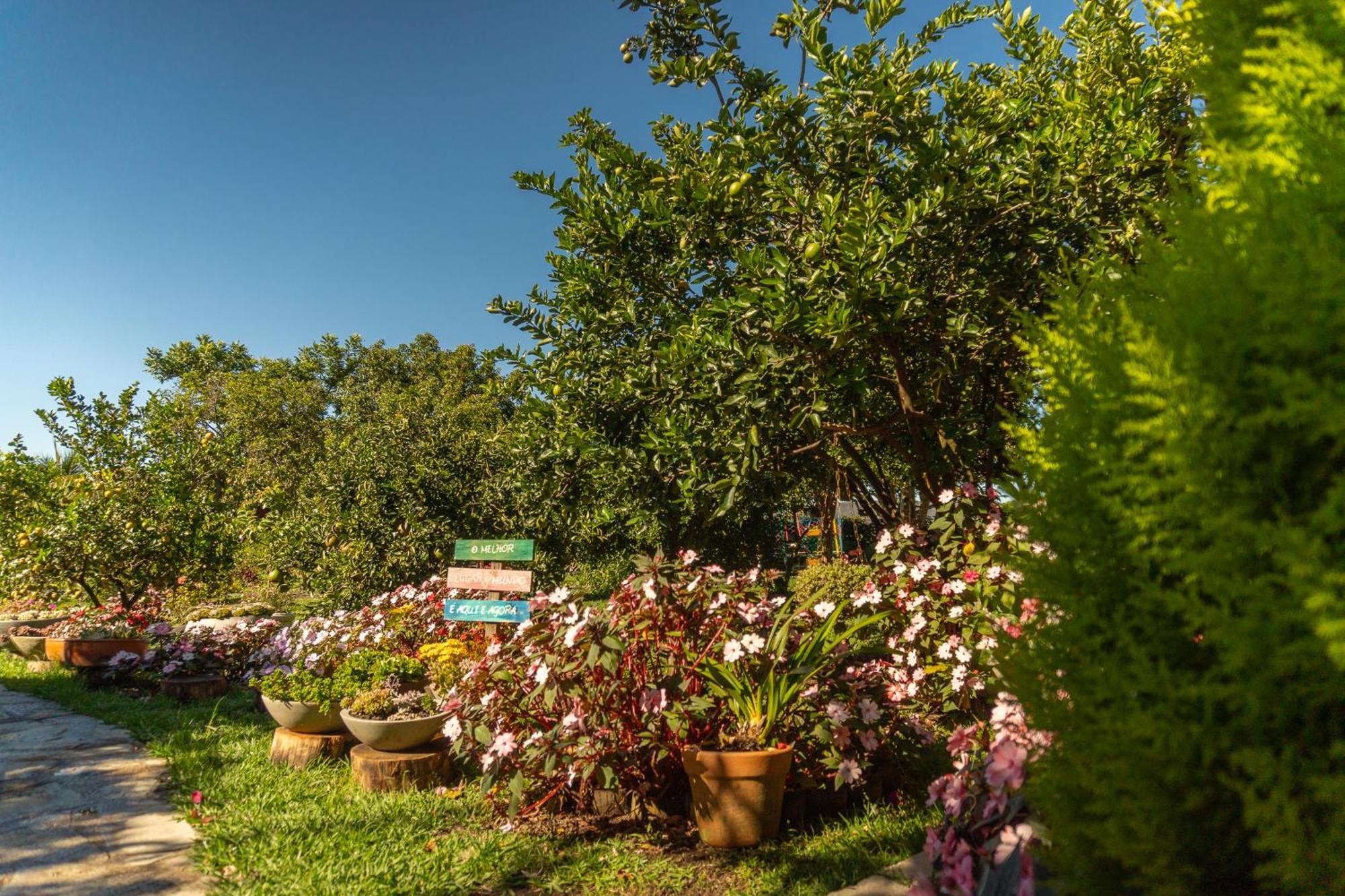Vila da Mata Chalés Alto Paraíso de Goiás Esterno foto
